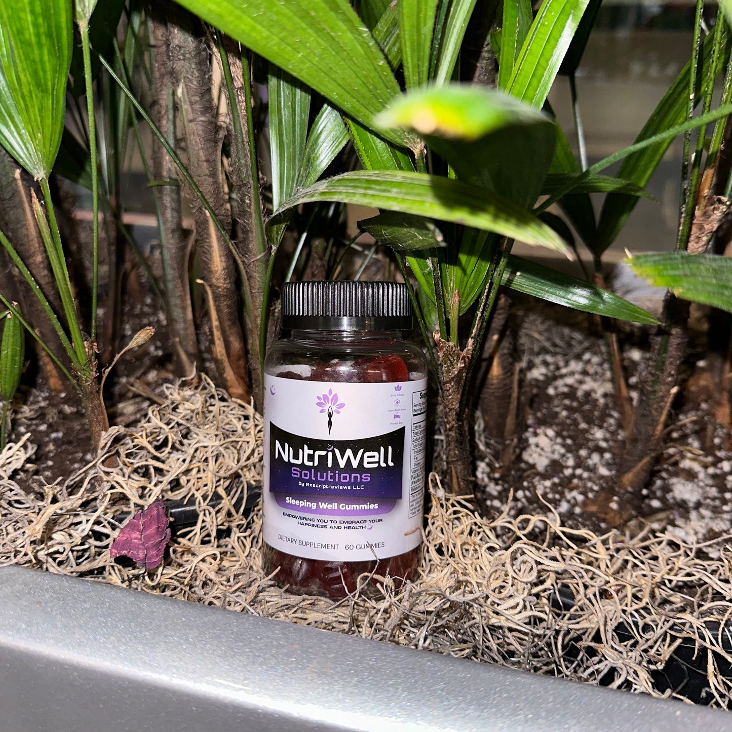 NutriWell Sleep Well Gummy Bottle amidst green plants at Emory University Hospital, Atlanta, Georgia.